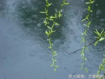 亦舒优美的句子