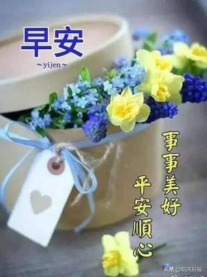 关于吹雪的优美句子