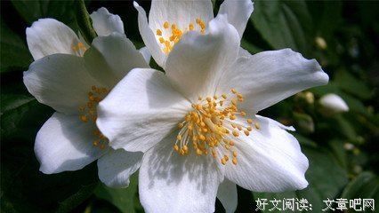 老公很会赚钱，让我负责貌美如花就行，但我担心他……