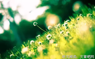 《静心》的句子