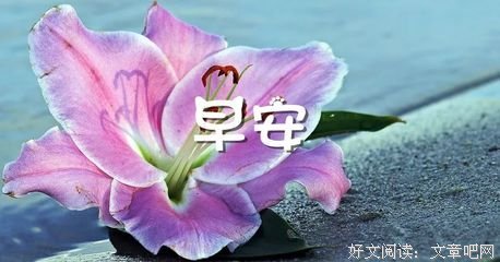 道带的会年的优美句子