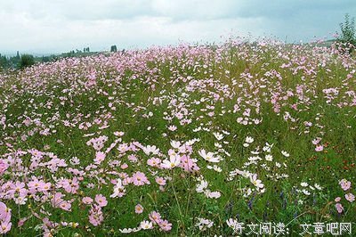 最全的《司岗中山能师还》语录摘抄