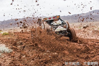 《楼奴》经典观后感集