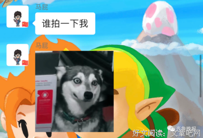 发现社会之旅的读后感大全