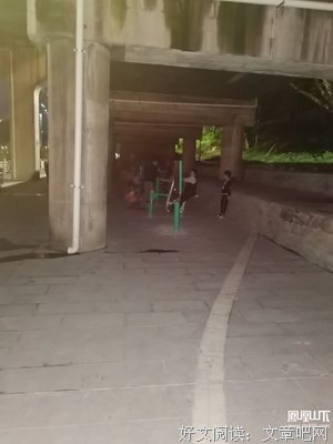 《白天遇见黑暗》读后感1000字
