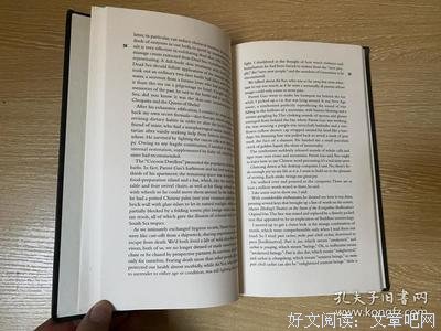 荒人手记经典读后感有感