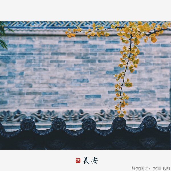 《长安古意·肝胆》的读后感大全