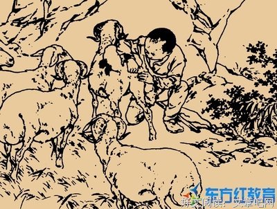 《收信快乐》读后感1000字