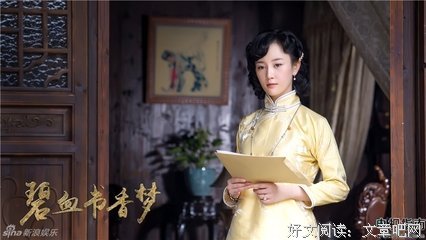 《碧血书香梦》经典影评集