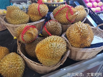 爱是一种选择读后感1000字