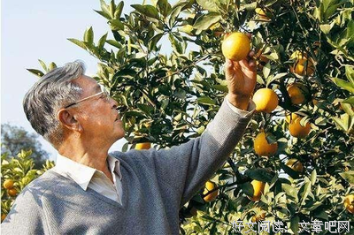 《第二次人生》经典观后感有感