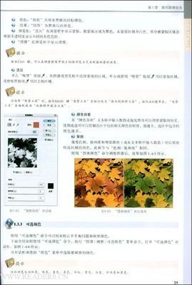《聖堂教父(1)》的读后感大全