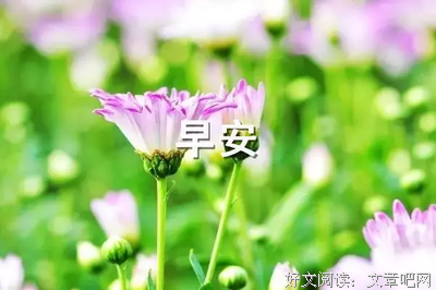 关于磨砺的句子