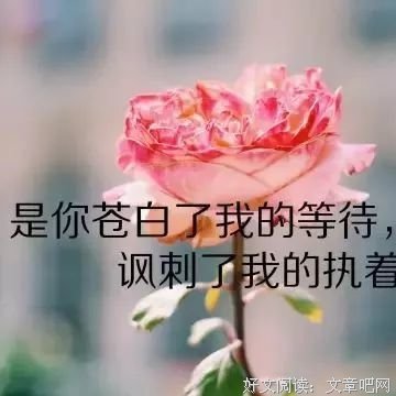 生种也隨記经典的句子
