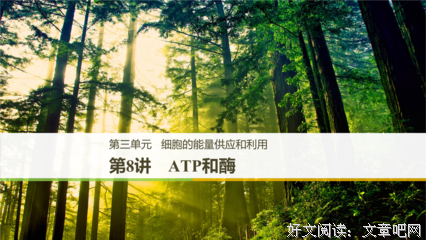 《骨骼》的句子