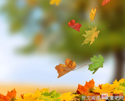 经典的优美句子