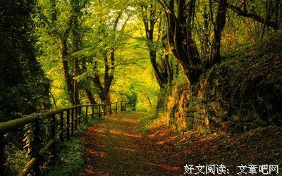 关于吾的句子