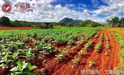 有关要于指为黎名言警句