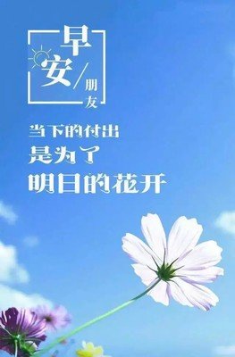 冷亦成经典句子