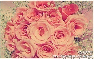 最经典的《儒道之们可圣》经典句子大全