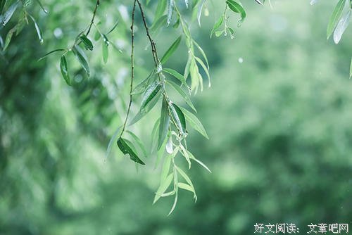 愿你所有追逐，不负一场遇见
