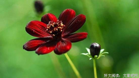 相遇和错过，都是一种缘！（深度好文）