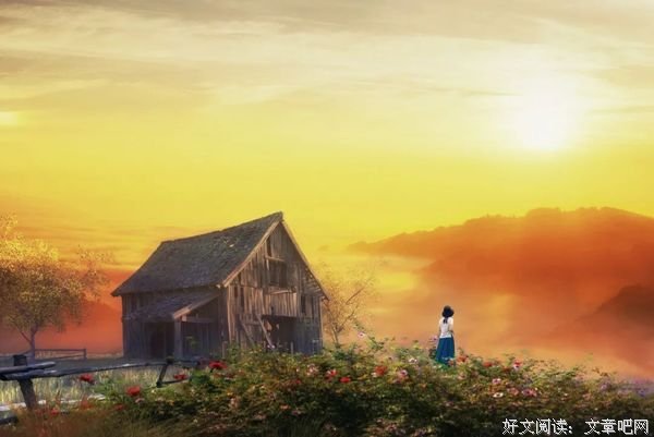 什么是家？（深刻）