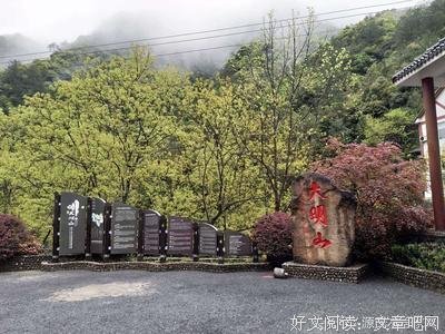 《陰影.也是一種力量》读后感100字
