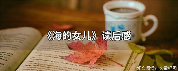 《岁月的泡沫》经典读后感有感