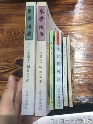 《琴学备要（上下）》经典读后感有感