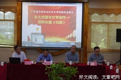 屋顶轻骑兵经典读后感有感