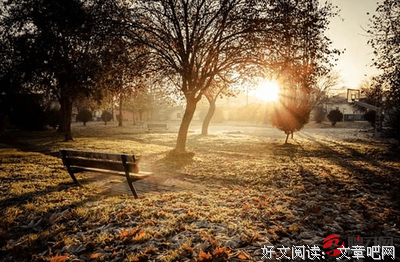 漂亮朋友的读后感大全