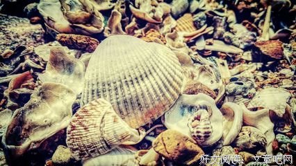 《海洋之恋》观后感100字