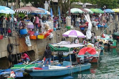 《猫步旅人》读后感锦集