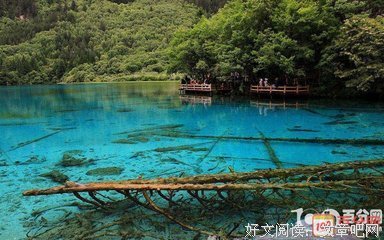 海子读后感精选