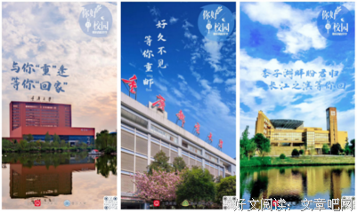 《读大学，究竟读什么》的读后感大全