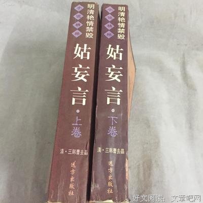 姑妄言读后感1000字