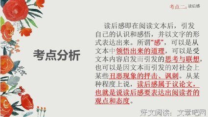 《初三》观后感精选