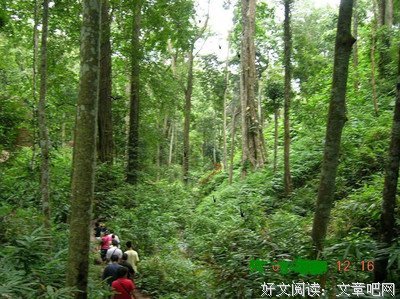 《唇上之歌》经典观后感1000字