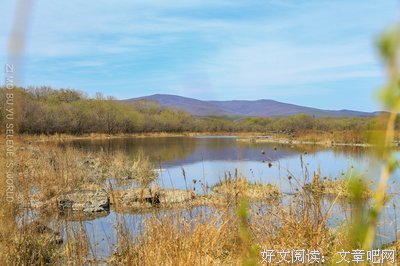 《童话镇 第四季》经典观后感1000字