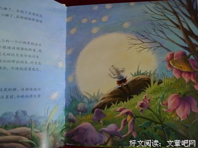 《老鼠和狮子》读后感1000字