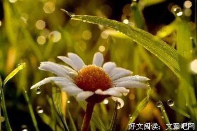 关于心知肚明的唯美语录
