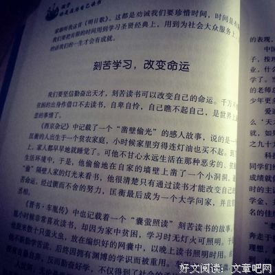 《你是世间唯一的花》读后感精选