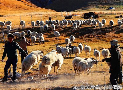 若即若离的语句摘抄_关于若即若离的语句