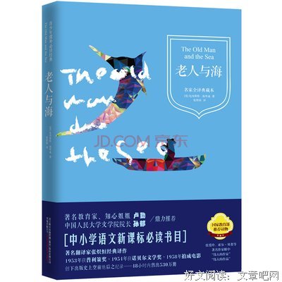《诺贝尔文学奖大系——窄门》读后感摘抄
