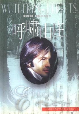 《呼啸山庄》读后感摘抄