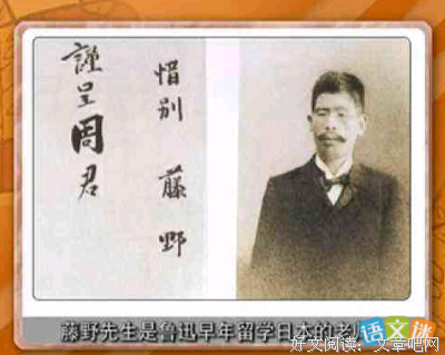 《惜别》经典读后感有感