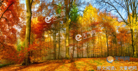 关于依靠自己的优美句子