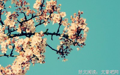 不依靠，不寻找句子