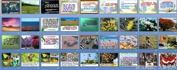 有关繁花似锦的句子